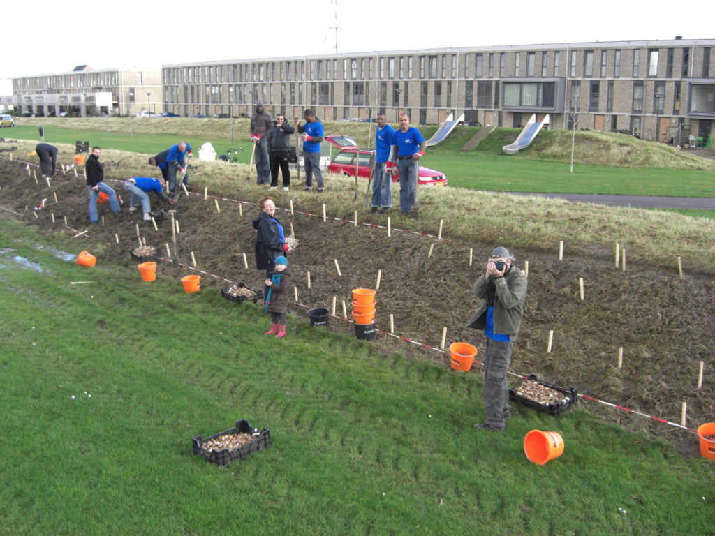 Aerfotos Bloembollen planten, Deltaweg, Hoofddorp Floriande, NL, 2008-11-13