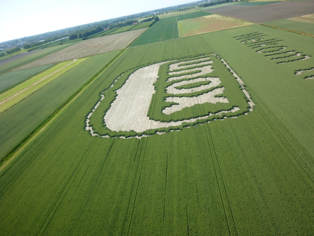 Aerfotos Unox graanveld teksten, Hoofdweg Westzijde, Nieuw Vennep, NL, 2009-07-04/2009-08-18
