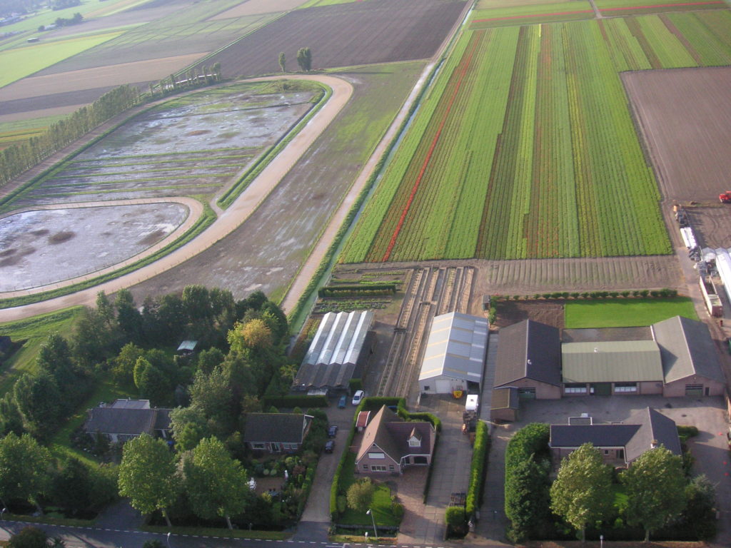 Aerfotos Spieringweg, Zwaanshoek, NL, 2006-10-01