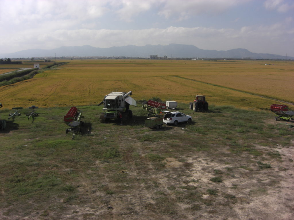 Aerfotos Camino Del Sants Chapel and rice fields, Albufera, ES, 2008-09-16