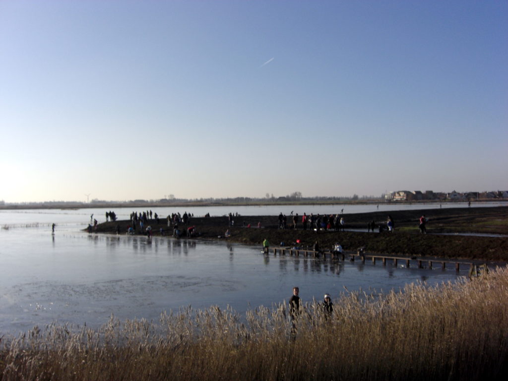 Aerfotos Schaatsen, Witte Brekken, Sneek, NL, 2008-12-28
